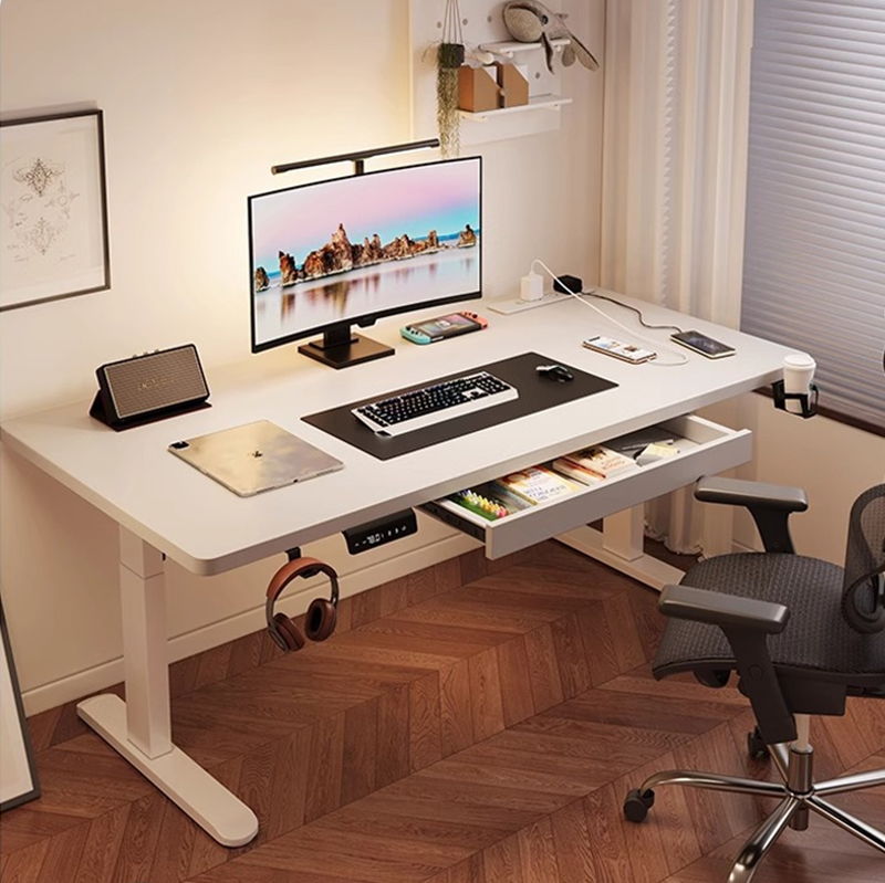 Modern Iron Dual Motor Electri - Desk Setup Ergonomics 评论和价格