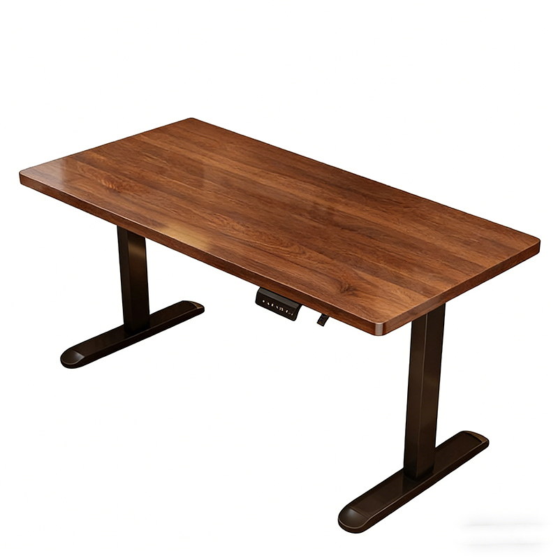 Modern Iron Dual Motor Electri - Desk Setup Ergonomics 评论和价格