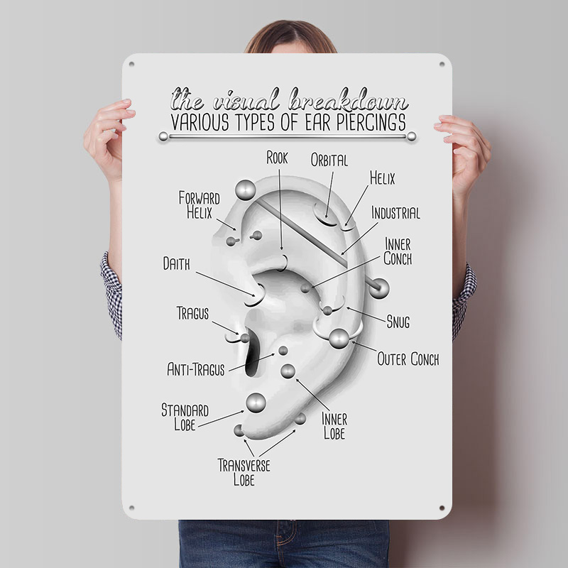 Ear Piercing Chart Metal Poste - Desk Setup Poster 评论和价格
