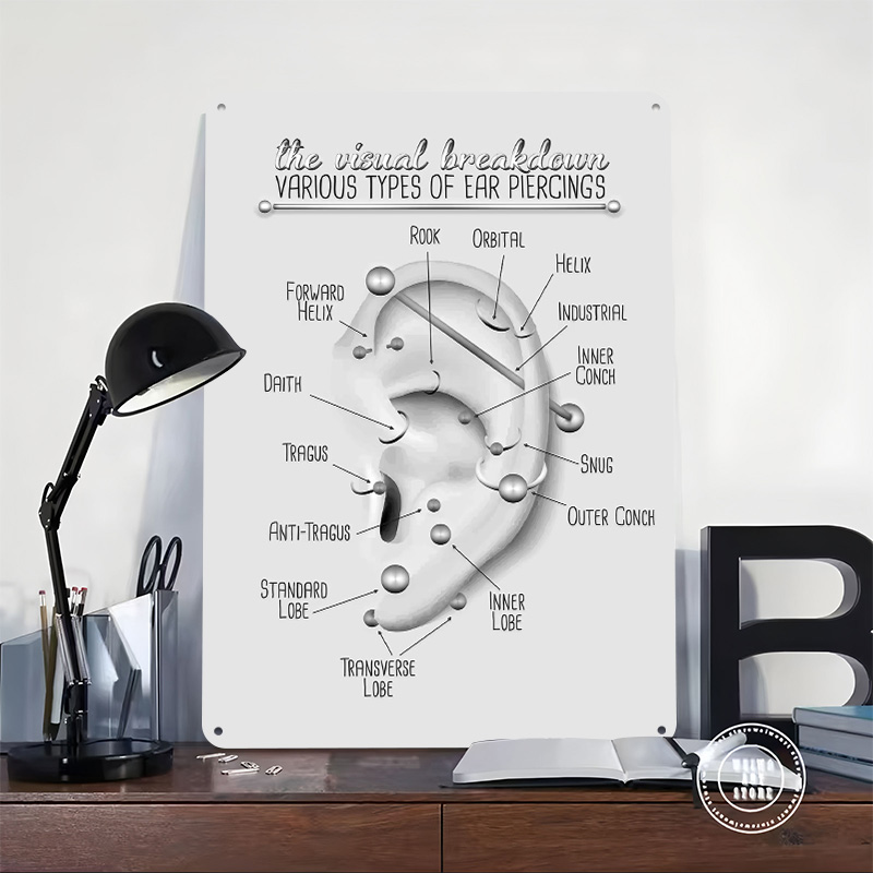 Ear Piercing Chart Metal Poste - Desk Setup Poster 评论和价格