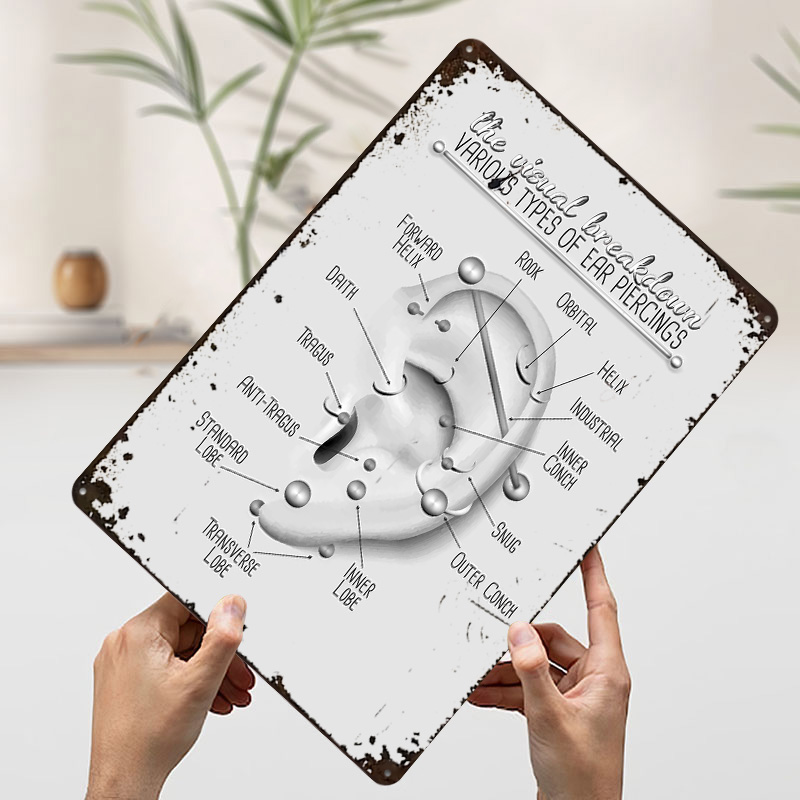 Ear Piercing Chart Metal Poste - Desk Setup Poster 评论和价格