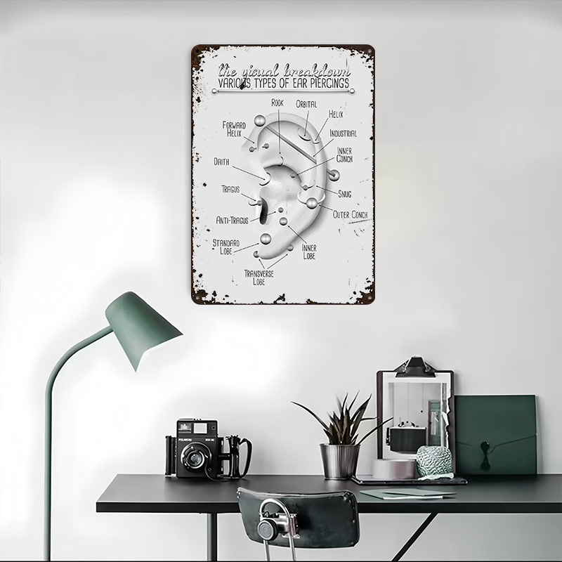 Ear Piercing Chart Metal Poste - Desk Setup Poster 评论和价格